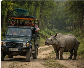 Jungle jeep safari beside a one-horned rhinoceros