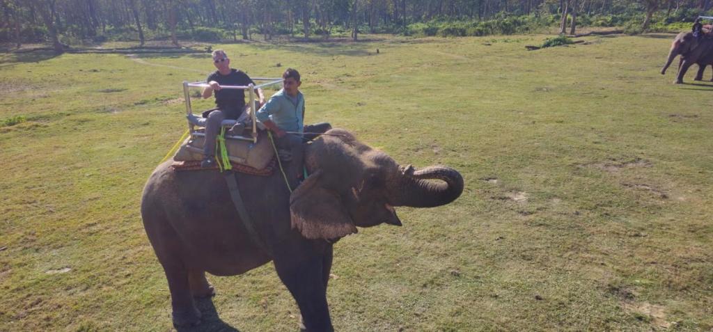 Guests riding elephants through Chitwan National Park