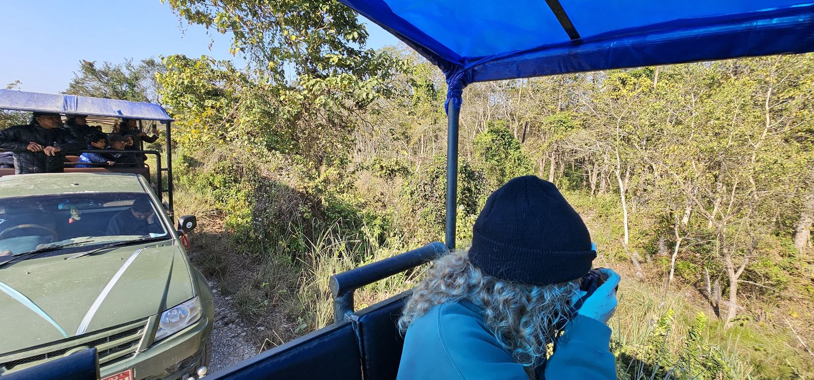 Jeep safari view from inside the vehicle